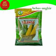 Berat 1 Tongkol Jagung Manis